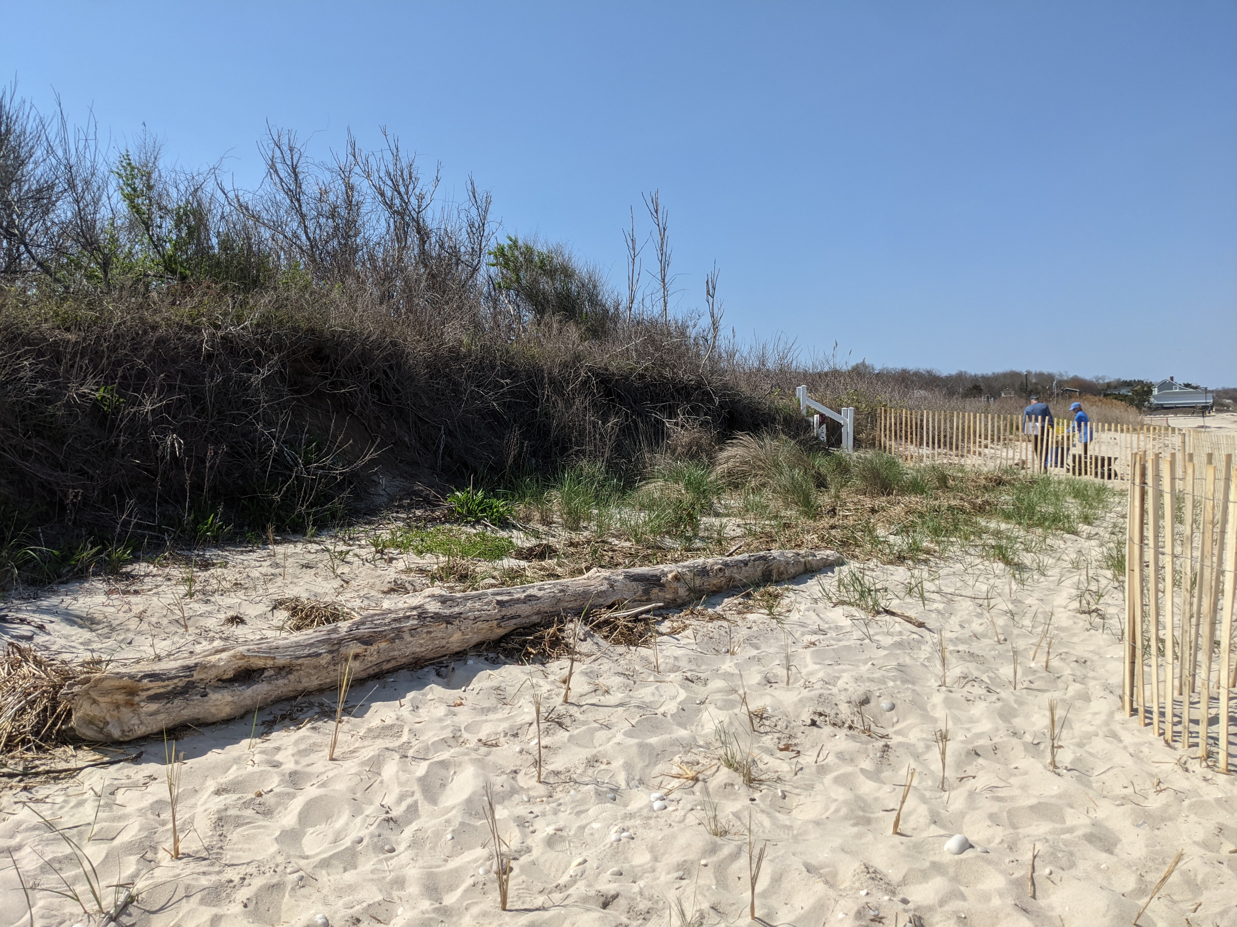 Long Island Sound beach