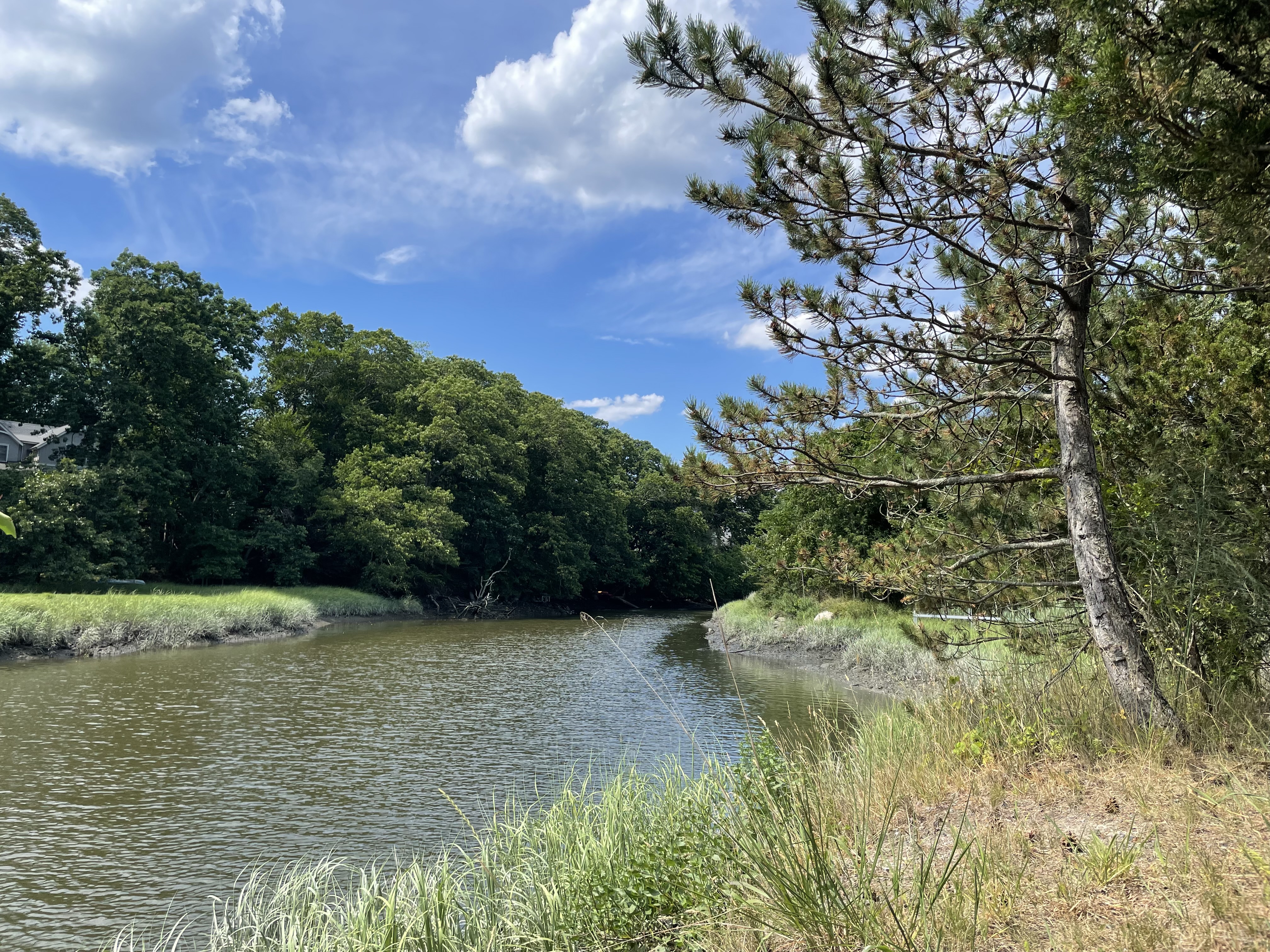 Long Island Sound creek