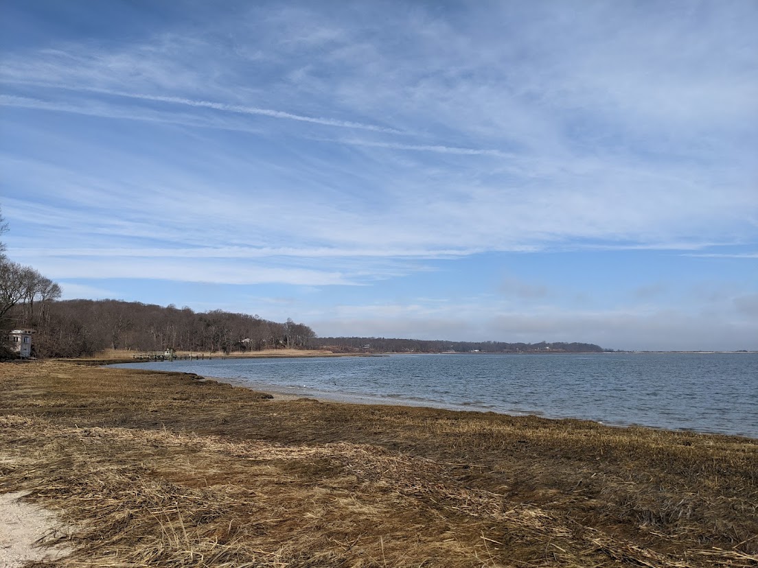 Long Island Sound treeline