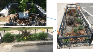 New Haven Bioswales – Resilience Hub