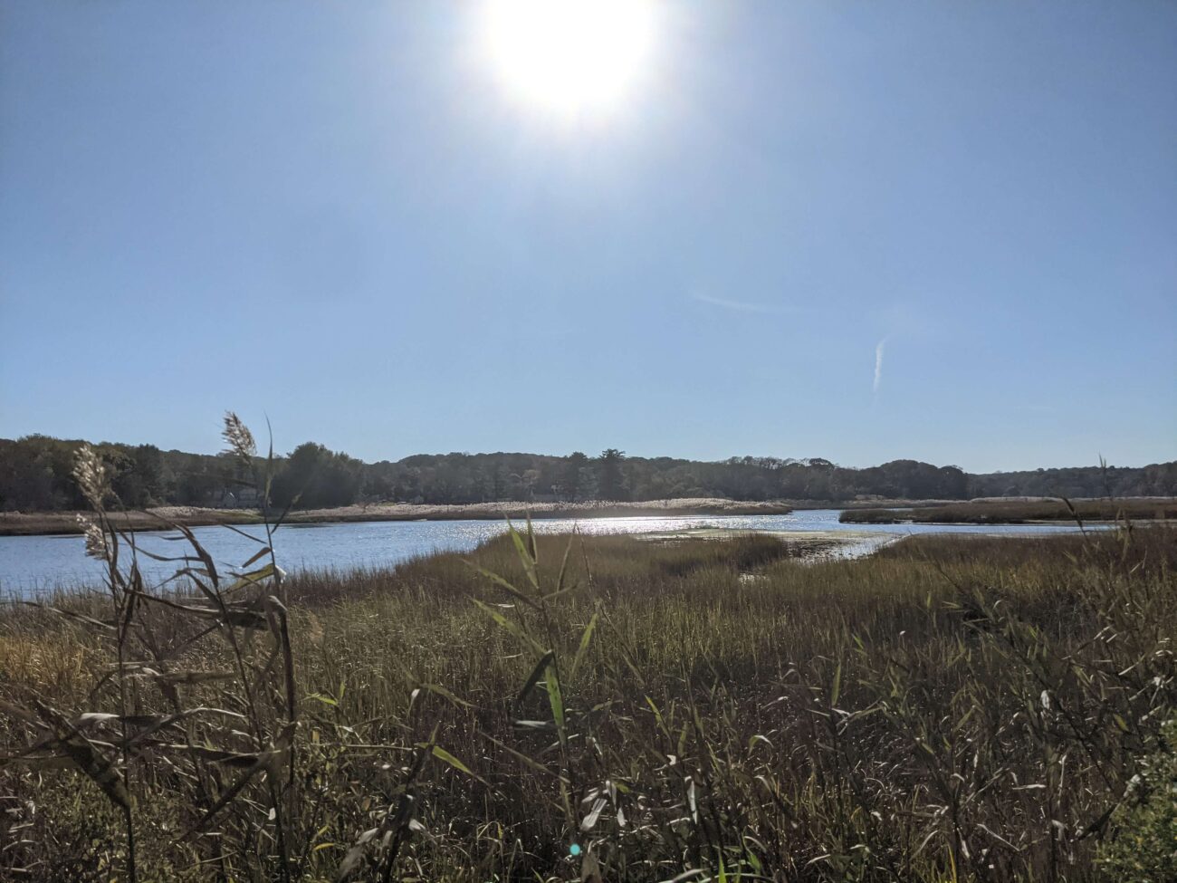 Sunken Meadow State Park Restoration Resilience Hub