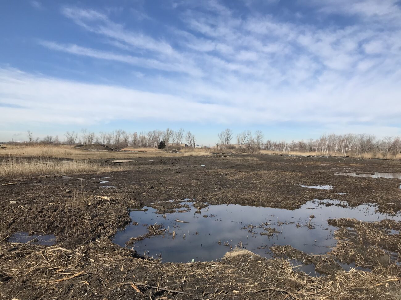Restoration of the Great Meadows Marsh Resilience Hub