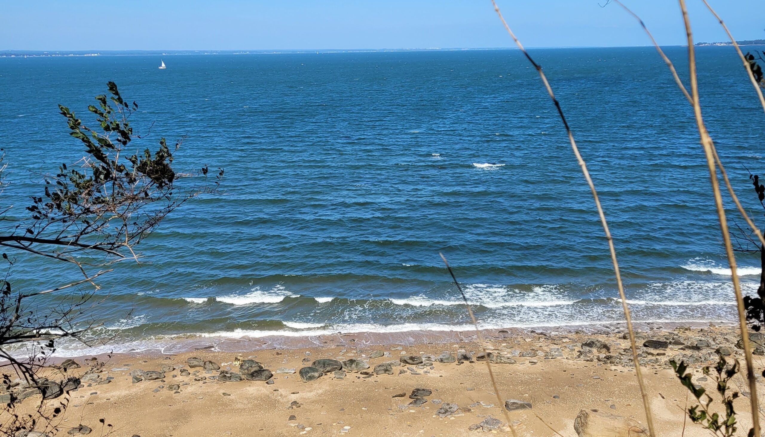 Planning Support Program