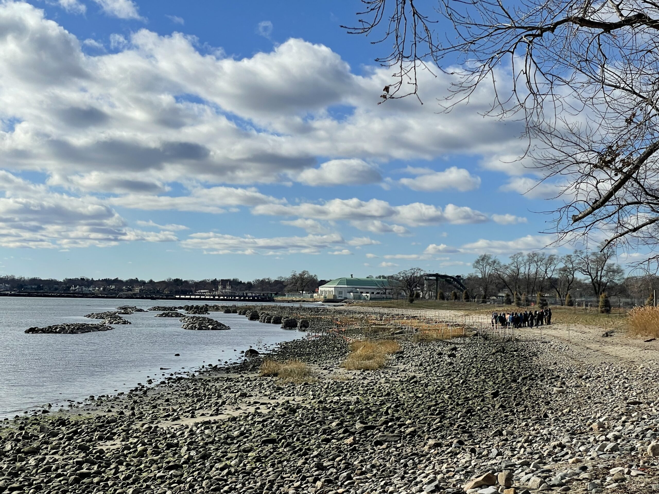 View of the Edith Read Sanctuary living shoreline with field trip participants in the distance.