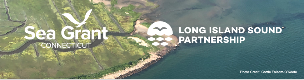 Hammonasset Beach State Park Coastal Resilience Field Trip and Workshop