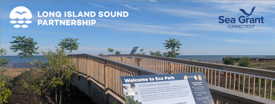 West Haven Coastal Resilience Tour